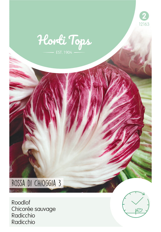 Horti Tops Zichoriensalat Palla Rossa