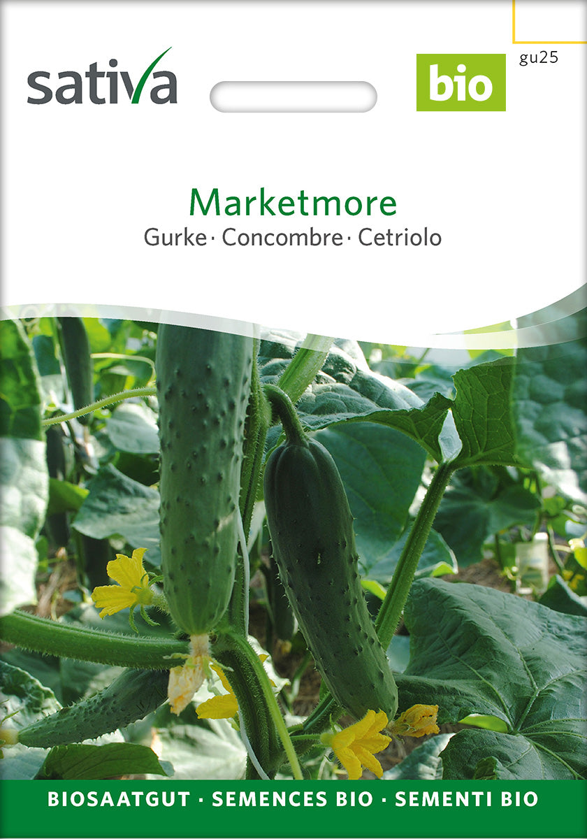 Sativa Gurke Marketmore