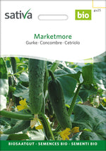 Sativa Gurke Marketmore