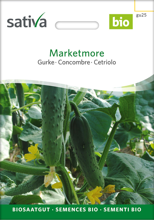 Sativa Gurke Marketmore