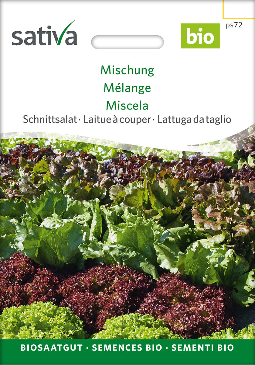 Sativa Schnittsalat Mischung