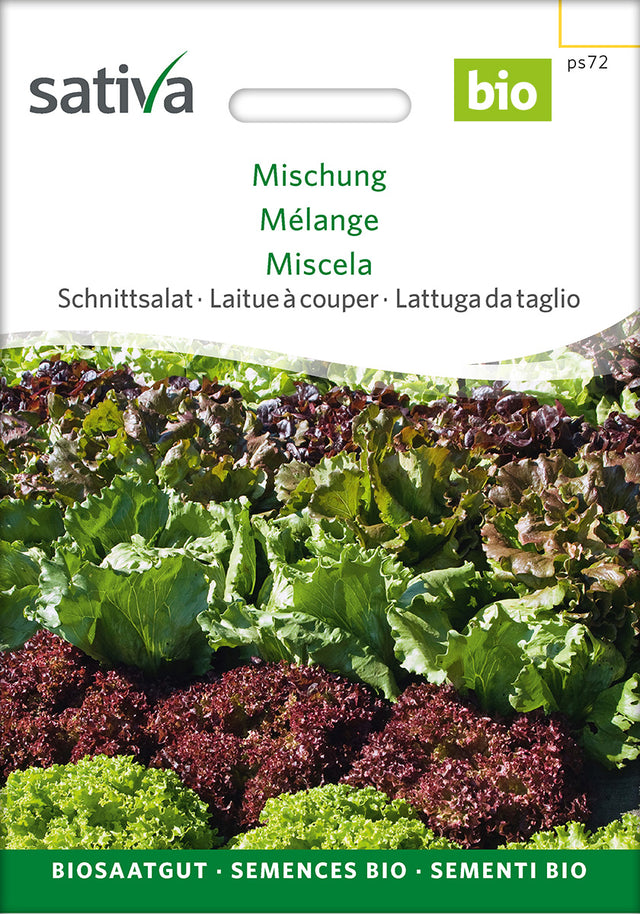 Sativa Schnittsalat Mischung