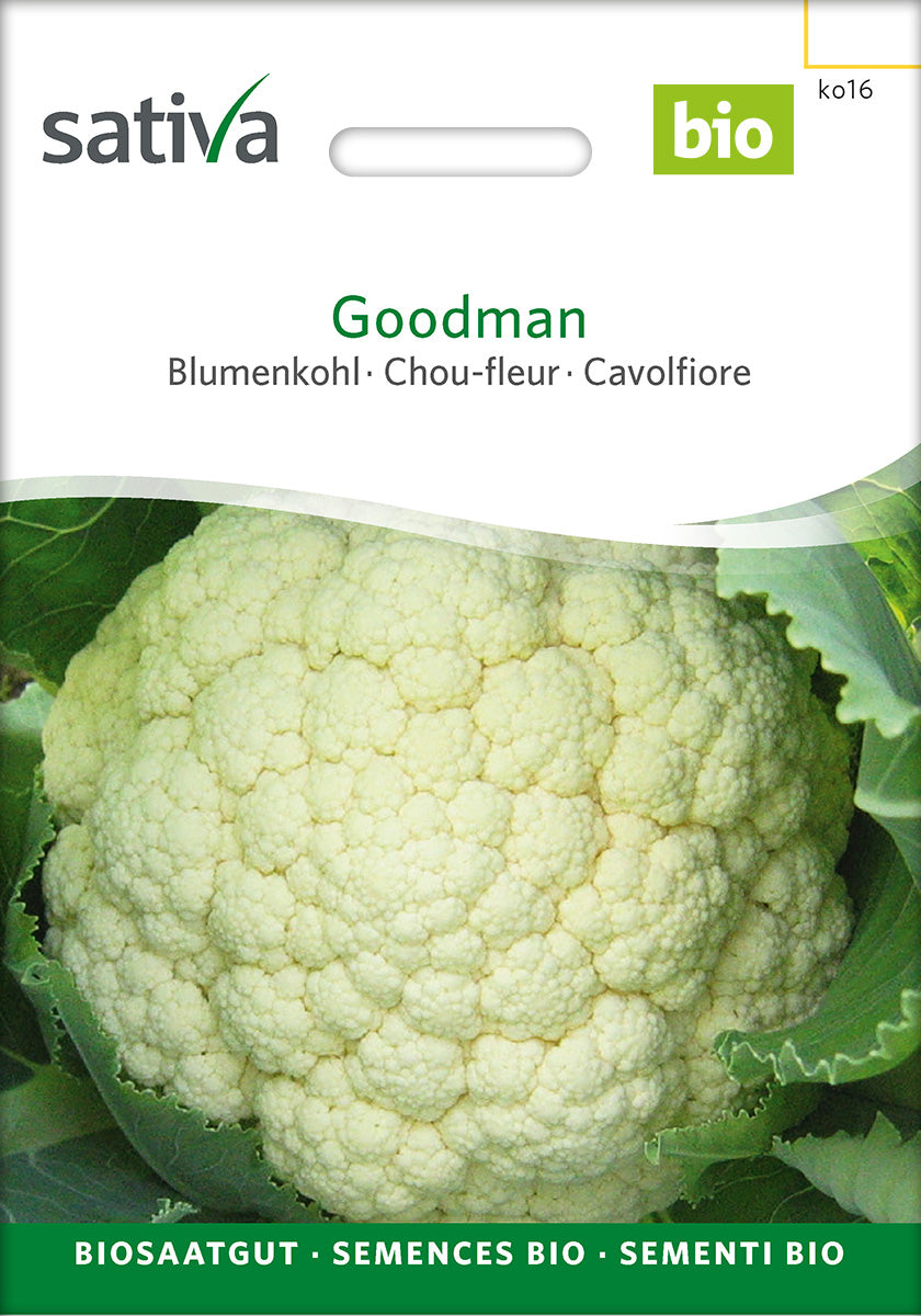 Sativa Blumenkohl Goodman