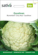 Sativa Blumenkohl Goodman