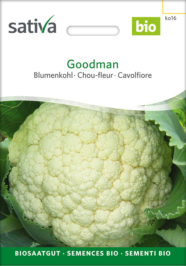 Sativa Blumenkohl Goodman