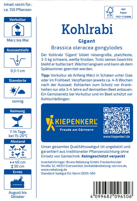 Kiepenkerl Kohlrabi Gigant