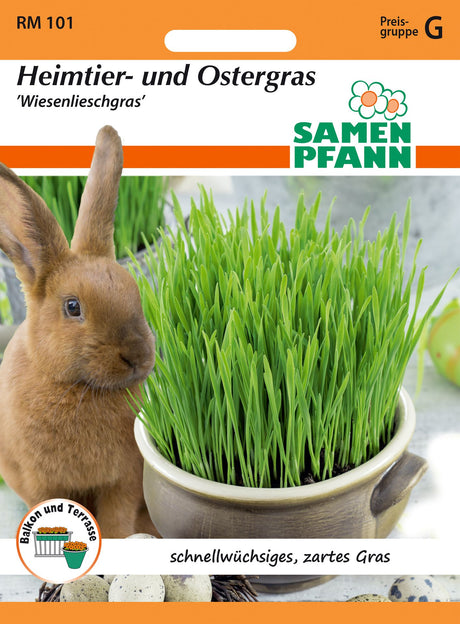 Samen Pfann Heimtier- und Ostergras Wiesenlieschgras