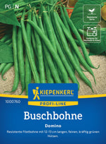 Kiepenkerl Buschbohnen Domino