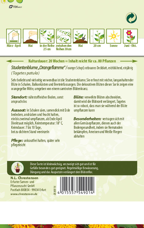 N.L. Chrestensen Studentenblume Orangeflamme