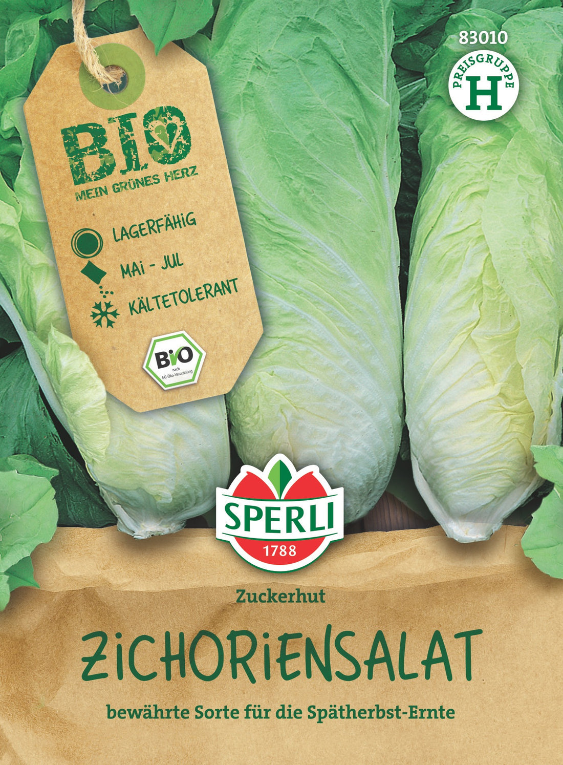 SPERLI | BIO Zichoriensalat Zuckerhut | 60 Pflanzen | MHD: 01/2029