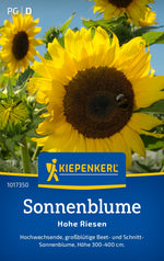 Kiepenkerl Sonnenblumen Hohe Riesen