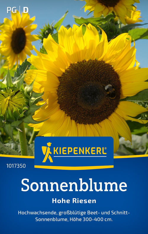 Kiepenkerl Sonnenblumen Hohe Riesen