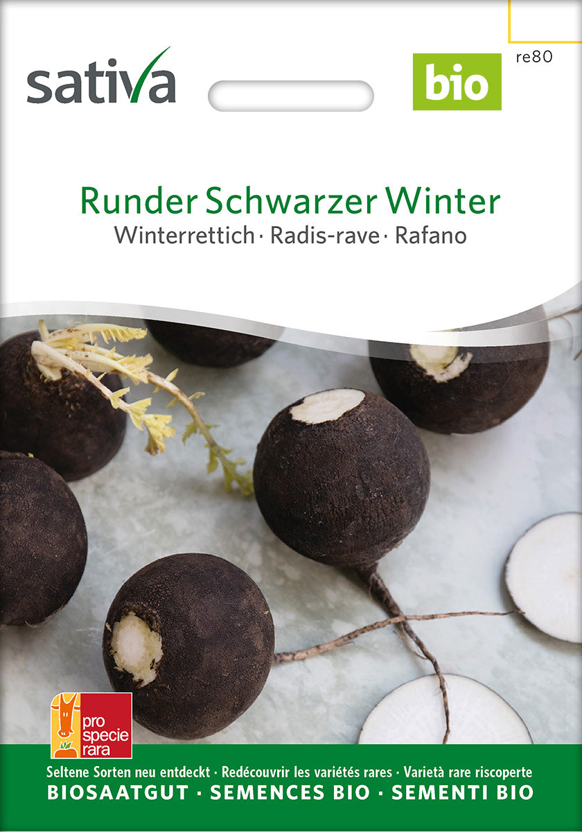 Sativa BIO Winterrettich Runder Schwarzer Winter