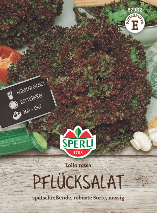 SPERLI Pflück- & Schnittsalat Lollo rossa