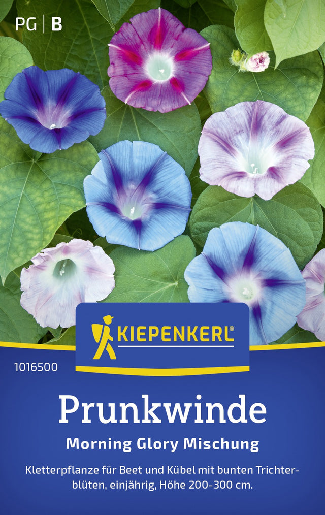 Kiepenkerl Prunkwinden Morning Glory Mischung