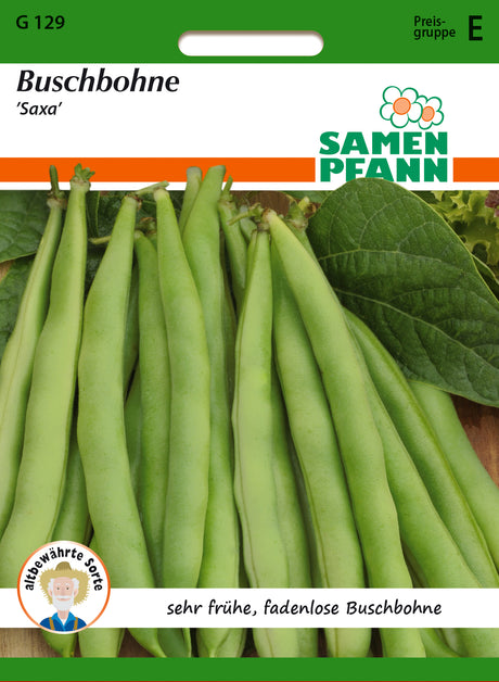 Samen Pfann Buschbohne Saxa