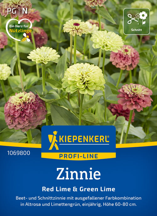 Kiepenkerl Zinnien Red Lime & Green Lime