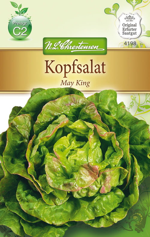 N.L. Chrestensen Kopfsalat May King