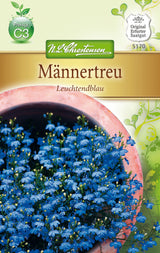 N.L. Chrestensen Männertreu Leuchtendblau