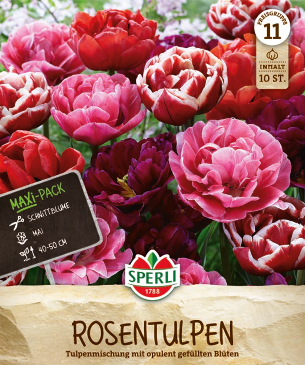 Maxi Tulpen Rosentulpen-Mischung