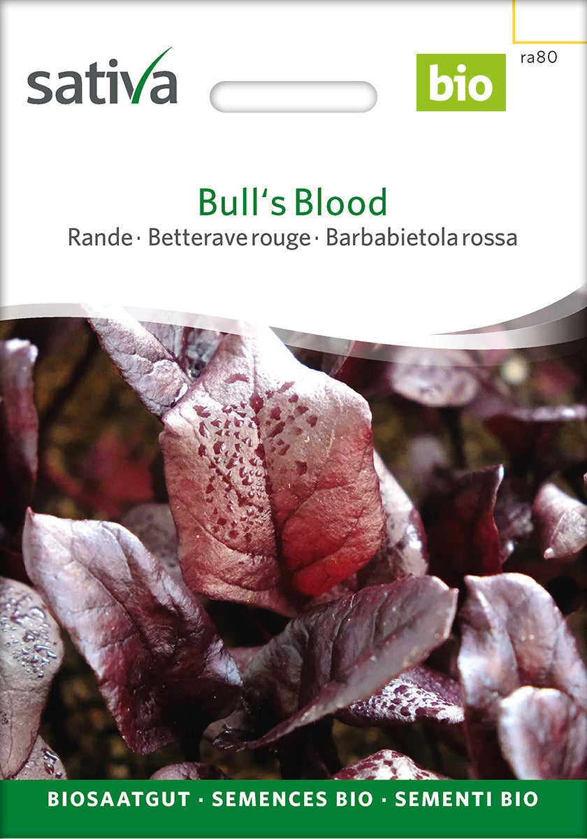 Sativa Rande Bull's Blood