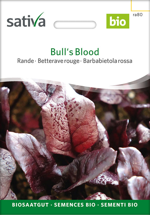 Sativa Rande Bull's Blood