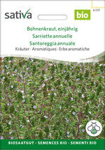 Sativa Bohnenkraut einjährig