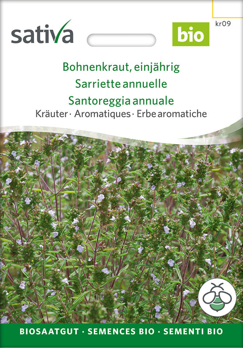 Sativa Bohnenkraut einjährig