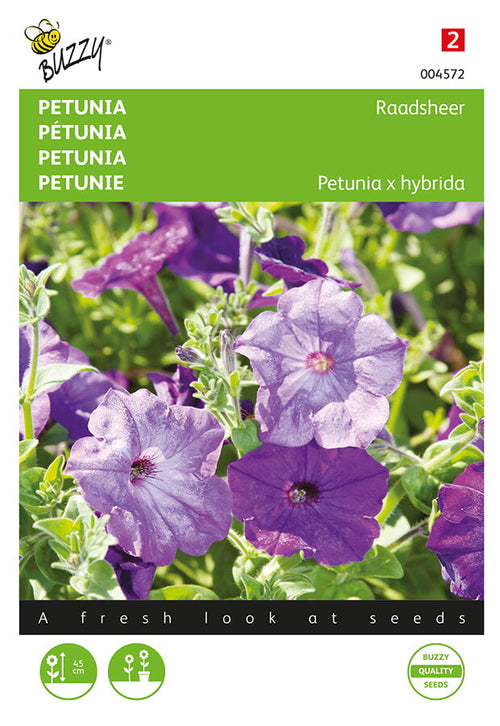 Buzzy Seeds Petunien Alderman