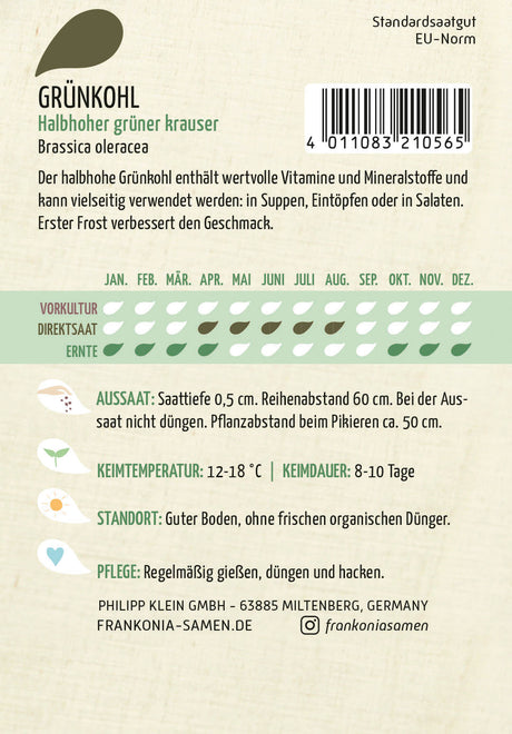 Frankonia Samen Grünkohl Halbhoher grüner krauser