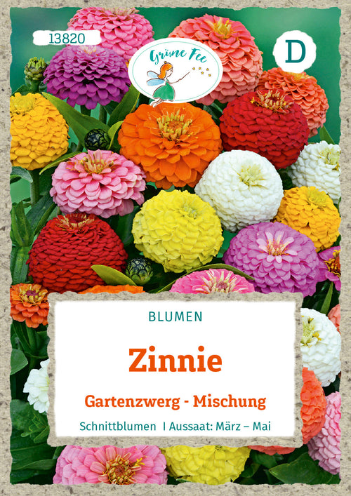 Grüne Fee Zinnien Liliput Mischung