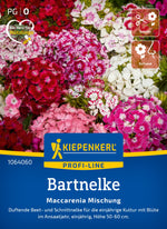 Kiepenkerl Bartnelke Maccarenia Mischung