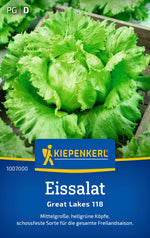 Kiepenkerl Eisbergsalat Great Lakes 118