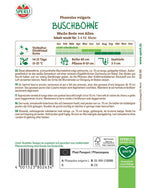 SPERLI Buschbohne Wachs Beste von Allen