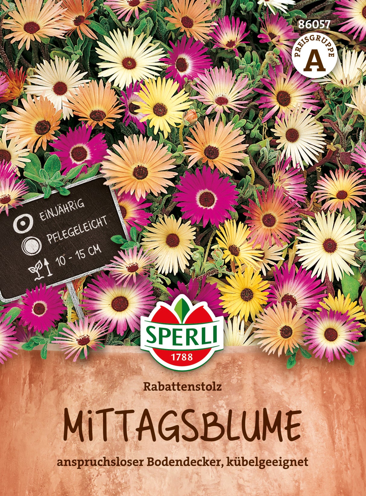 SPERLI Mittagsblume Rabattenstolz