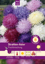 Pabst Keimkraft Strahlen Aster Mischung