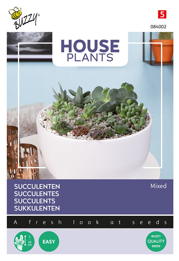 Buzzy Seeds Succulenten Mischung