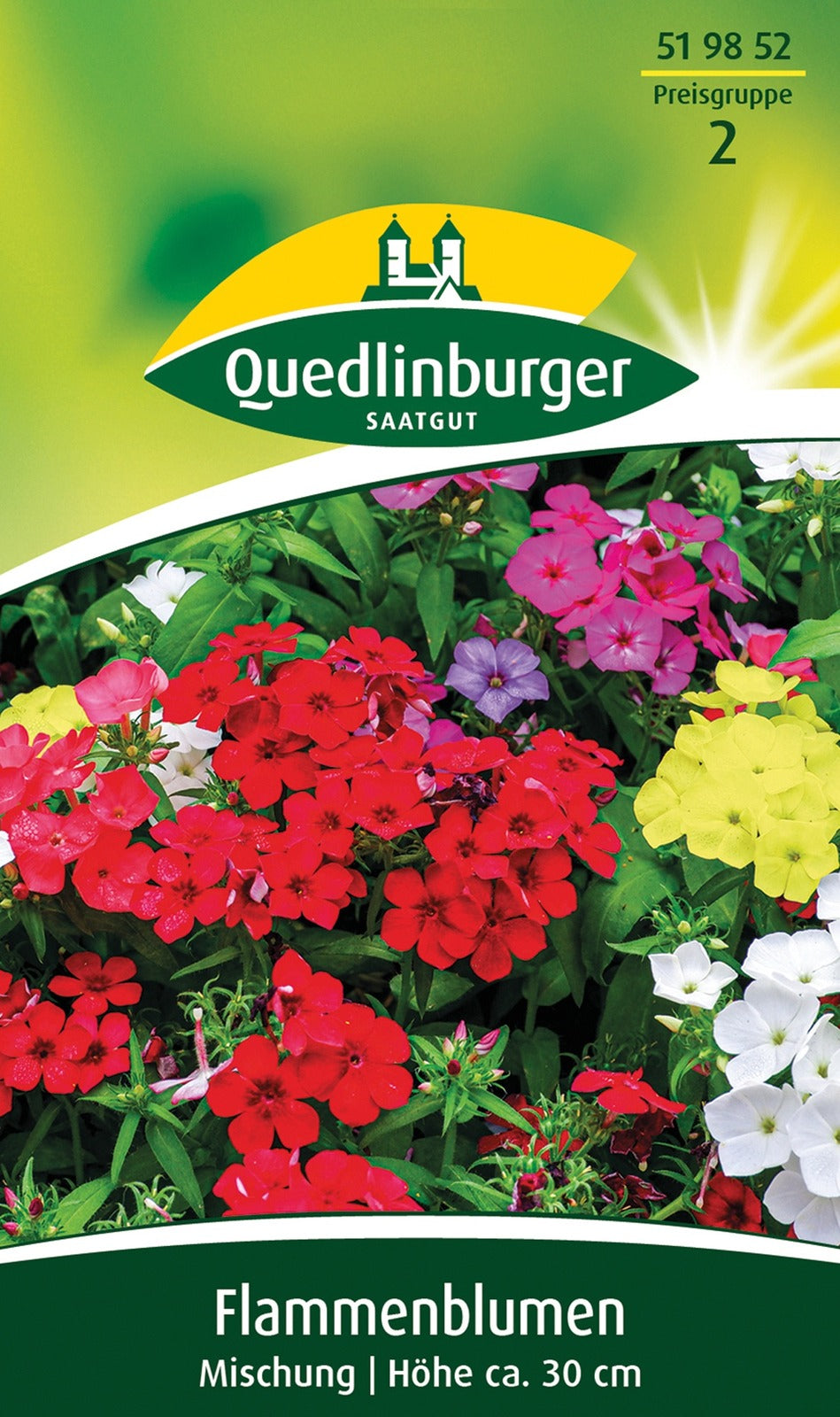Quedlinburger Sommerphlox Flammenblumen Mischung