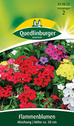 Quedlinburger Sommerphlox Flammenblumen Mischung