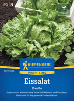 Kiepenkerl Eisbergsalat Danilo