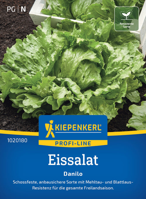 Kiepenkerl Eisbergsalat Danilo