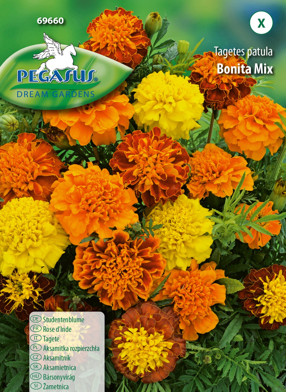 Studentenblume Bonita Mix