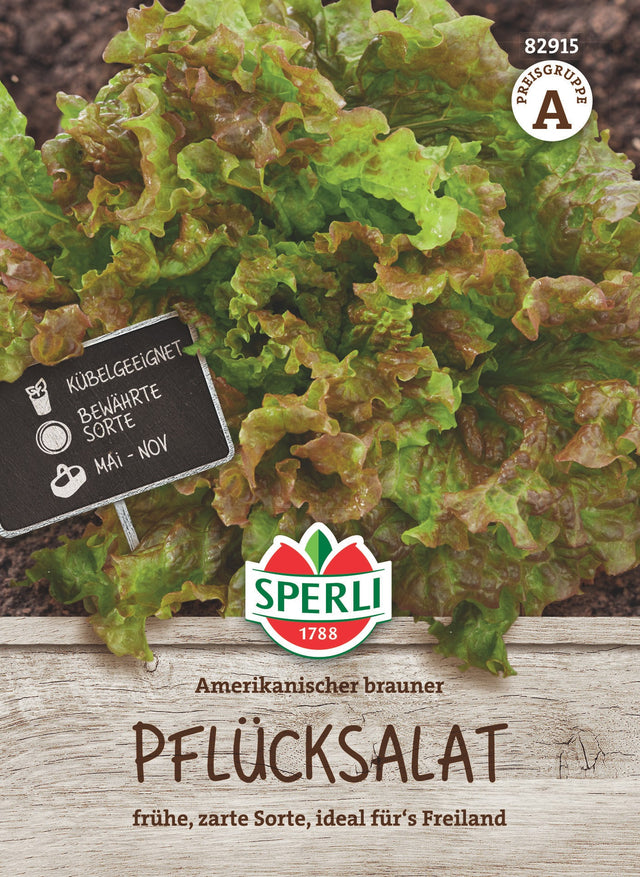 SPERLI Pflück- & Schnittsalat Amerikanischer brauner