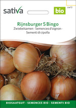 Sativa Zwiebelsamen Rijnsburger 5 Bingo