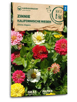 Samen Maier BIO Zinnie Kalifornische Riesen Mischung