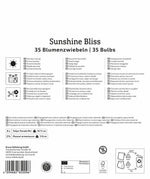 Mega Pack Sunshine Bliss