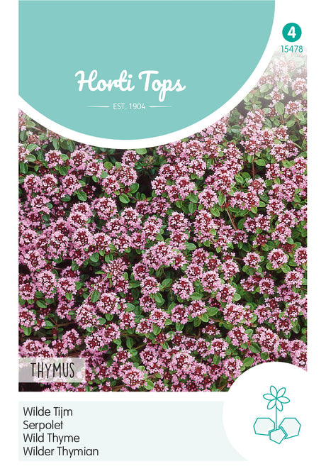 Horti Tops Kriechthymian Serpyllum