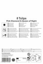 Tulpen Mix Candy Friends