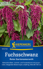 Kiepenkerl Fuchsschwanz Roter Gartenamaranth
