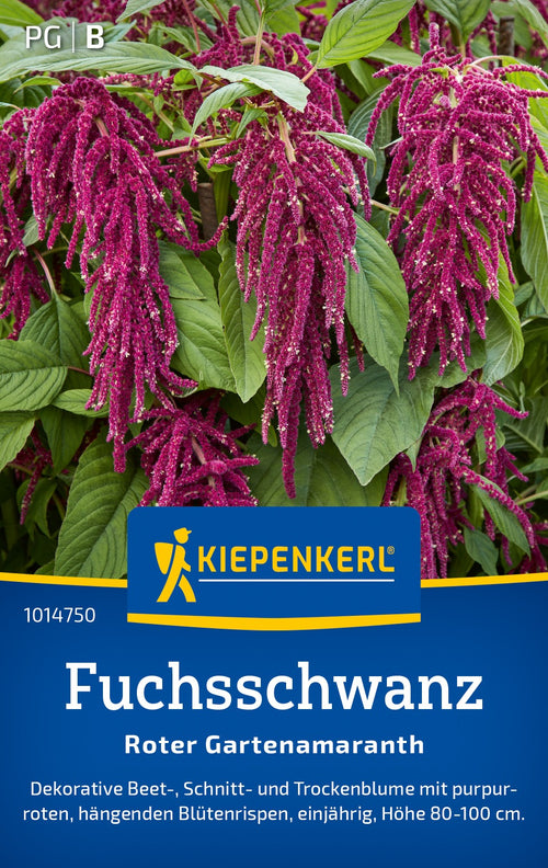 Kiepenkerl Fuchsschwanz Roter Gartenamaranth